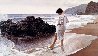 Pacific Sanctuary  1994 Limited Edition Print by Steve Hanks - 0