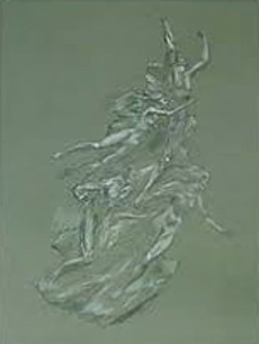Heroic Spirit lithograph 1992 Limited Edition Print by Frederick Hart Heroic Spirit lithograph 1992 Limited Edition Print by Frederick Hart