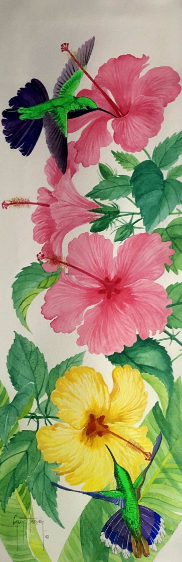 Untitled Still Life Watercolor 36x20 Watercolor by Guy Harvey