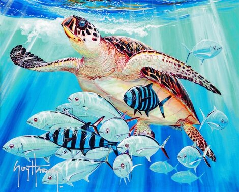 Hawksbill Caravan 2016 - Turtle Limited Edition Print - Guy Harvey