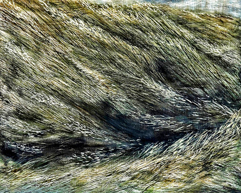 Wild Oats 1 1961 33x41 Early - Huge Original Painting - Robert Martin Harvey