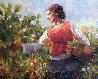 Vineyard Harvest 2009 33x37 Original Painting by Don Hatfield - 0