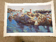 Rocky Point Huge Limited Edition Print by Don Hatfield - 1