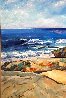 Sea Fascination 37x47 Original Painting by Don Hazen - 6