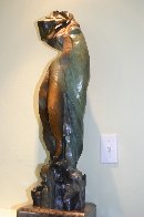 Revelation Bronze Sculpture 2002 28 in Sculpture by Abrishami Hessam - 1