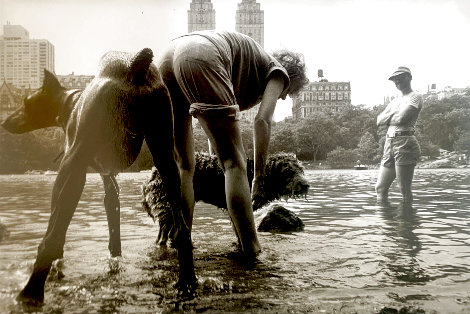 Dog Wash Photography - Ken Heyman