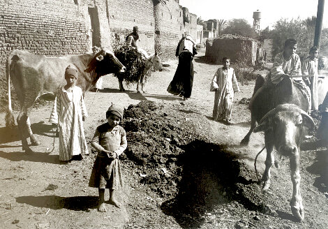 Kids with Cows Photography - Ken Heyman