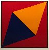 Orange Triangle 2012 Limited Edition Print by Charles Hinman - 0