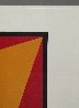 Orange Triangle 2012 Limited Edition Print by Charles Hinman - 5