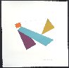 Kites Suite -  Kite 2013 Limited Edition Print by Charles Hinman - 1