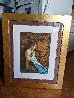 Shawl and Tapestry 1988 Limited Edition Print by Douglas Hofmann - 1