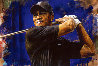 Blue Hawaii - Tiger Woods Embellished 2005 HS By Tiger Limited Edition Print by Stephen Holland - 0