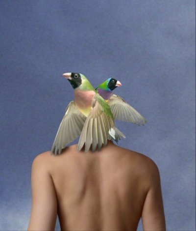 Birdshead 2006 Limited Edition Print - Ryszard Horowitz