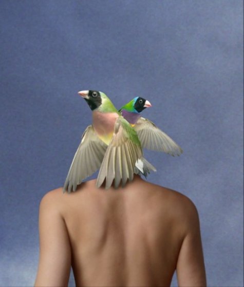 Birdshead 2006 Limited Edition Print by Ryszard Horowitz Birdshead 2006 Limited Edition Print by Ryszard Horowitz
