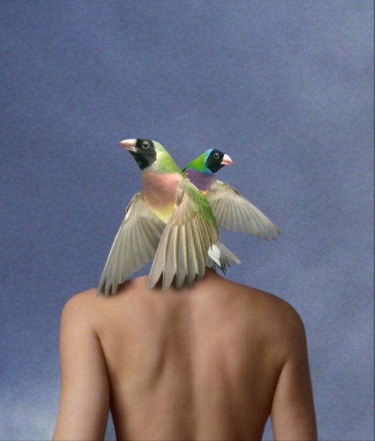 Birdshead 2006 Limited Edition Print by Ryszard Horowitz