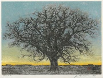 Akebono (Dawn) 1977 16x18 Limited Edition Print - Joichi Hoshi Akebono (Dawn) 1977 16x18 Limited Edition Print - Joichi Hoshi