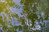 Nature Series 2014, Reflections Series 3, New York 2014 Panorama by James Houston - 0