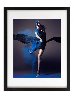 Coco Rocha NYC 2012 Panorama by James Houston - 1