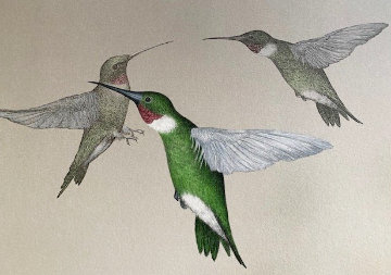Hummingbird 1993 Limited Edition Print - Frank Howell Hummingbird 1993 Limited Edition Print - Frank Howell