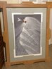 White Hummingbird 1974 - Huge Limited Edition Print by Frank Howell - 1 White Hummingbird 1974 - Huge Limited Edition Print by Frank Howell - 1
