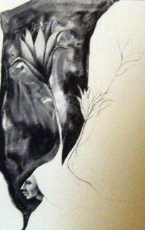 Emerging Cactus Flower 1986 Limited Edition Print - Frank Howell Emerging Cactus Flower 1986 Limited Edition Print - Frank Howell