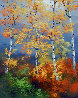Birch Trees 32x24 Original Painting by Huertas Aguiar - 0