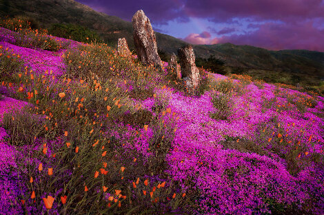 Surhenge Chroma - Big Sur, California Panorama - Ian Ely