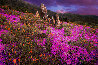 Surhenge Chroma - Big Sur, California Panorama by Ian Ely - 0