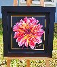 Chrysanthemum 2014 Limited Edition Print by Scott Jacobs - 1