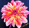 Chrysanthemum 2014 Limited Edition Print by Scott Jacobs - 0
