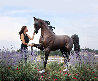 Monumental Life Sized Equine Bronze Sculpture 84 in Sculpture by J. Anne Butler - 1 Monumental Life Sized Equine Bronze Sculpture 84 in Sculpture by J. Anne Butler - 1