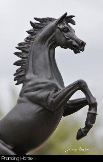 Cavallino Rampante / Prancing Horse Bronze Sculpture 2015 16 in Sculpture - J. Anne Butler