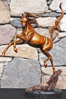 Sunshine Dancer Equine Bronze Sculpture 2015 16 in Sculpture - J. Anne Butler Sunshine Dancer Equine Bronze Sculpture 2015 16 in Sculpture - J. Anne Butler