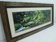 Rainforest Magic Panorama by Peter  Jarver - 8