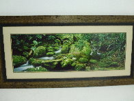 Rainforest Magic Panorama by Peter  Jarver - 3