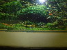 Rainforest Magic - Amazon Panorama by Peter Jarver - 4