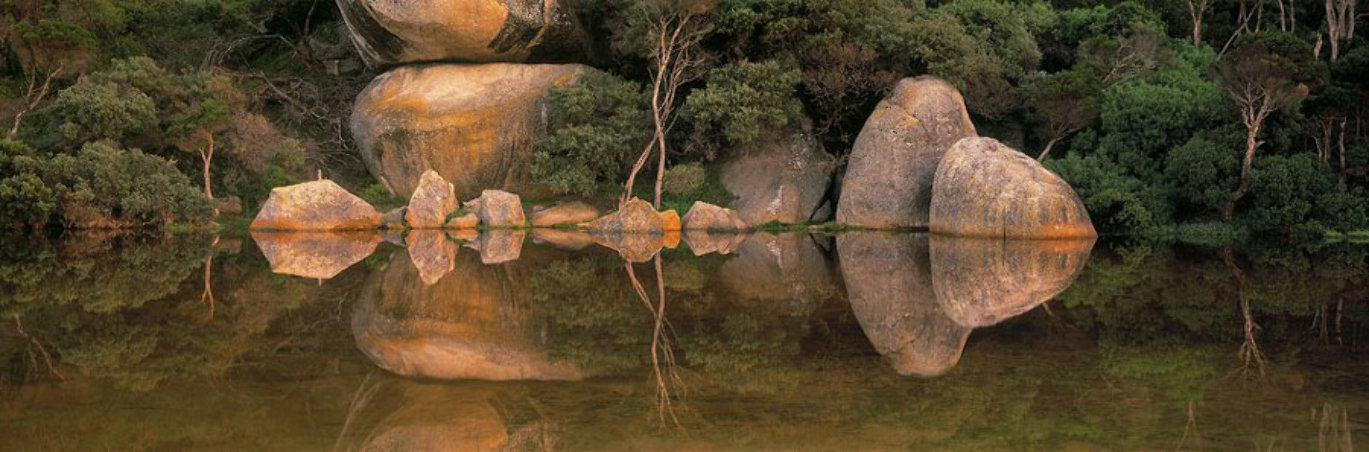 Contemplation Panorama by Peter Jarver Contemplation Panorama by Peter Jarver