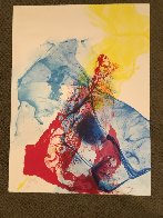 Phenomena Katherine Wheel 1969 Limited Edition Print by Paul Jenkins - 1 Phenomena Katherine Wheel 1969 Limited Edition Print by Paul Jenkins - 1