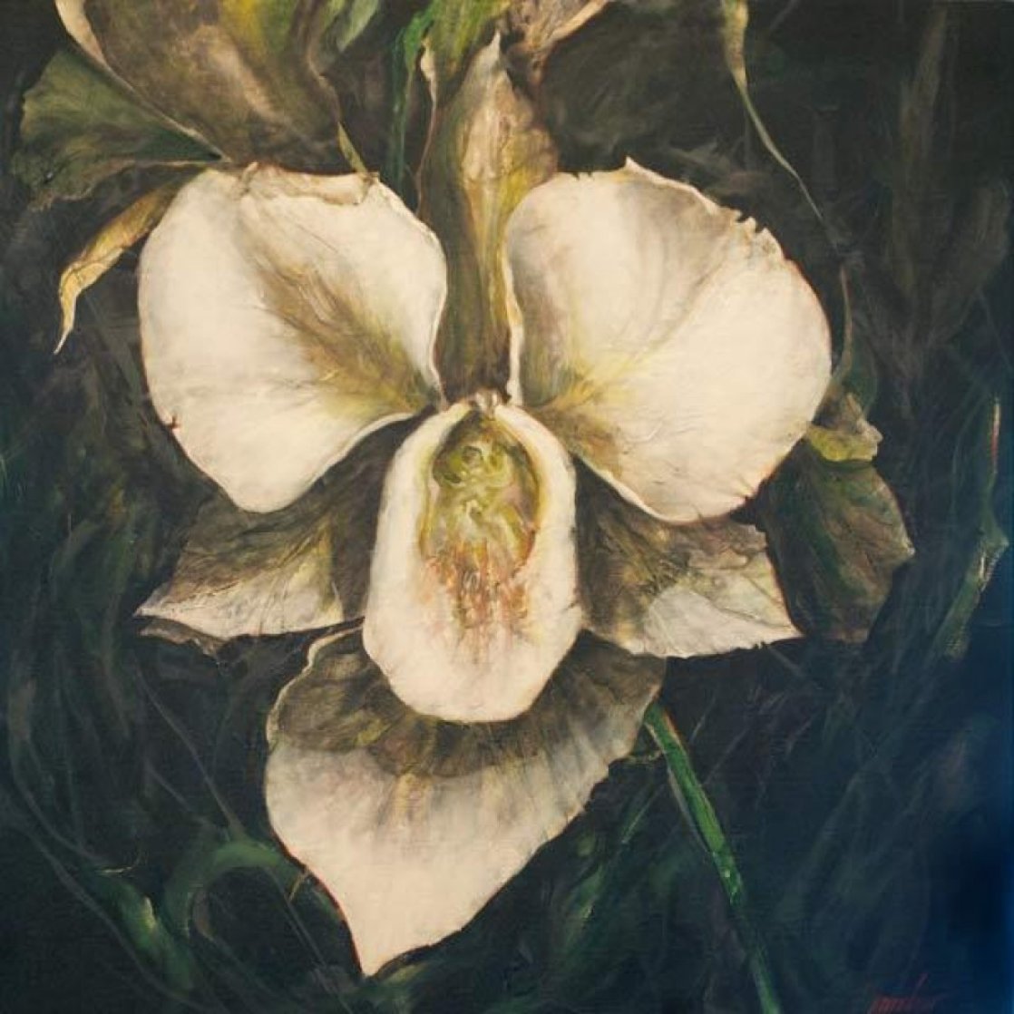 Untitled Orchid 2015 24x24 Original Painting by Joseph Kinnebrew Untitled Orchid 2015 24x24 Original Painting by Joseph Kinnebrew