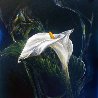 Untitled Lily 2015 24x24 Original Painting by Joseph Kinnebrew - 0 Untitled Lily 2015 24x24 Original Painting by Joseph Kinnebrew - 0