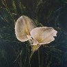 Untitled Cala Lillies 2015 24x24 Original Painting by Joseph Kinnebrew - 1 Untitled Cala Lillies 2015 24x24 Original Painting by Joseph Kinnebrew - 1
