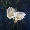 Untitled Cala Lillies 2015 24x24 Original Painting by Joseph Kinnebrew - 0 Untitled Cala Lillies 2015 24x24 Original Painting by Joseph Kinnebrew - 0