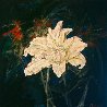 Untitled Lilies 2015 24x24 Original Painting by Joseph Kinnebrew - 1 Untitled Lilies 2015 24x24 Original Painting by Joseph Kinnebrew - 1