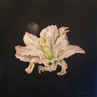 Untitled Flower 2015 24x24 Original Painting - Joseph Kinnebrew Untitled Flower 2015 24x24 Original Painting - Joseph Kinnebrew