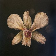 Untitled Orchid 2015 24x24 Original Painting by Joseph Kinnebrew - 1 Untitled Orchid 2015 24x24 Original Painting by Joseph Kinnebrew - 1