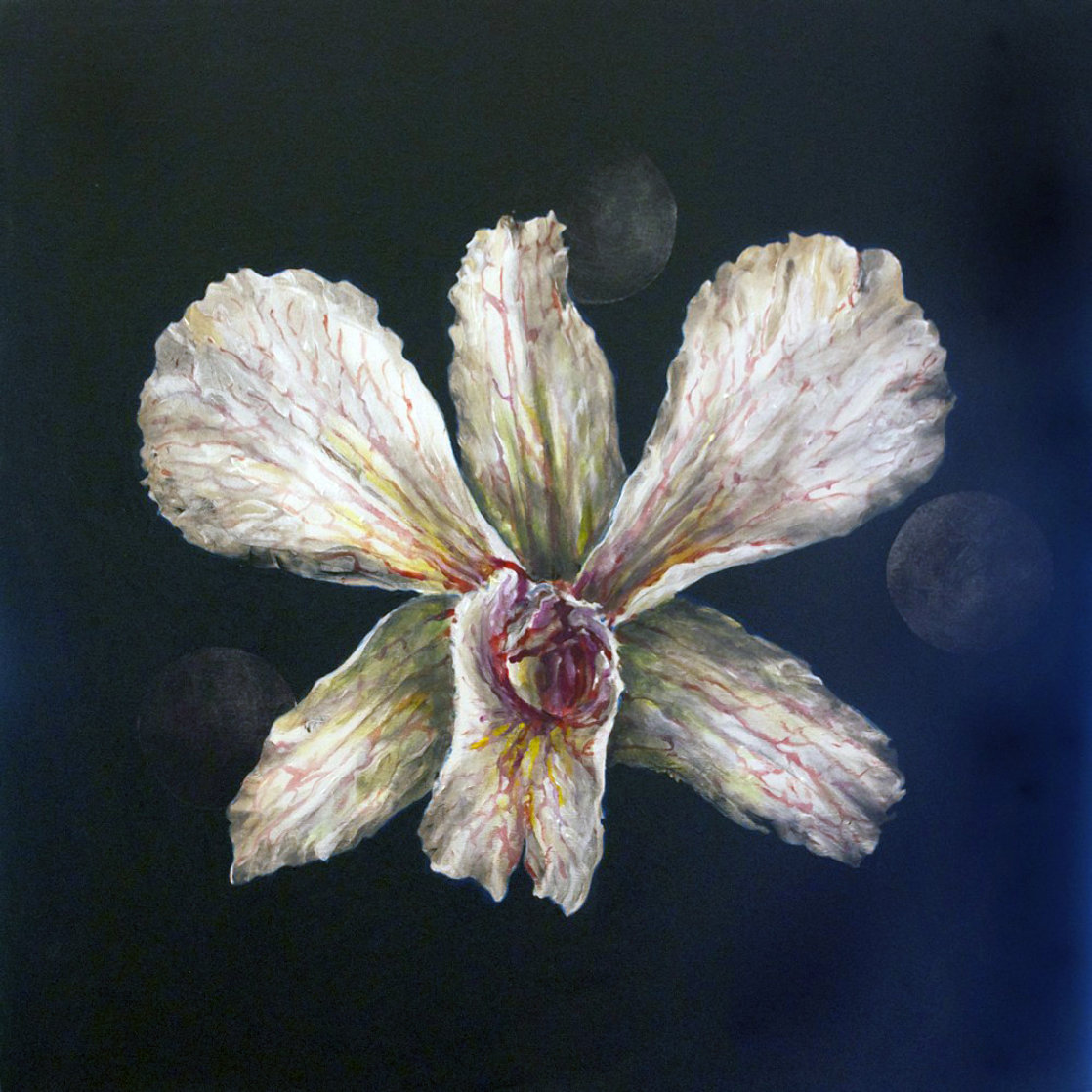 Untitled Orchid 2015 24x24 Original Painting by Joseph Kinnebrew Untitled Orchid 2015 24x24 Original Painting by Joseph Kinnebrew