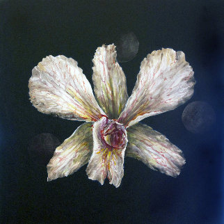 Untitled Orchid 2015 24x24 Original Painting - Joseph Kinnebrew Untitled Orchid 2015 24x24 Original Painting - Joseph Kinnebrew