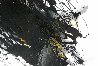Nessun Dorma 24x24 Original Painting by Joseph Kinnebrew - 5 Nessun Dorma 24x24 Original Painting by Joseph Kinnebrew - 5