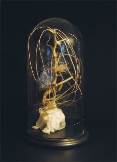 Untitled Glass Sculpture 2015 Sculpture - Joseph Kinnebrew Untitled Glass Sculpture 2015 Sculpture - Joseph Kinnebrew