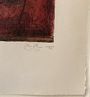 Target With Plaster Casts 1979 Limited Edition Print by Jasper Johns - 4 Target With Plaster Casts 1979 Limited Edition Print by Jasper Johns - 4